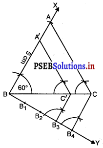 PSEB 10th Class Maths Solutions Chapter 11 ਰਚਨਾਵਾਂ Ex 11.1 10