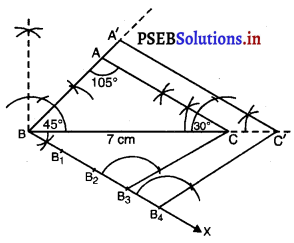PSEB 10th Class Maths Solutions Chapter 11 ਰਚਨਾਵਾਂ Ex 11.1 12