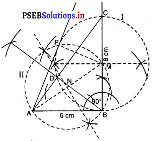 PSEB 10th Class Maths Solutions Chapter 11 ਰਚਨਾਵਾਂ Ex 11.2 7