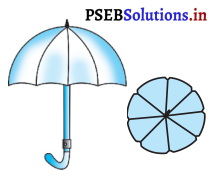 PSEB 10th Class Maths Solutions Chapter 12 ਚੱਕਰ ਨਾਲ ਸੰਬੰਧਿਤ ਖੇਤਰਫਲ Ex 12.2 16
