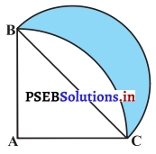 PSEB 10th Class Maths Solutions Chapter 12 ਚੱਕਰ ਨਾਲ ਸੰਬੰਧਿਤ ਖੇਤਰਫਲ Ex 12.3 21