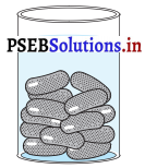 PSEB 10th Class Maths Solutions Chapter 13 ਸਤੁਦਾ ਖੇਤਰਫਲ ਅਤੇ ਆਇਤਨ Ex 13.2 4