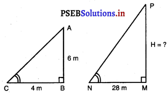 PSEB 10th Class Maths Solutions Chapter 6 ਤ੍ਰਿਭੁਜ Ex 6.3 22