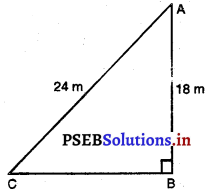 PSEB 10th Class Maths Solutions Chapter 6 ਤ੍ਰਿਭੁਜ Ex 6.5 14