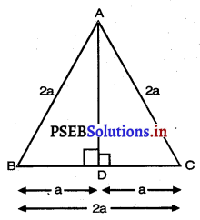 PSEB 10th Class Maths Solutions Chapter 6 ਤ੍ਰਿਭੁਜ Ex 6.5 21