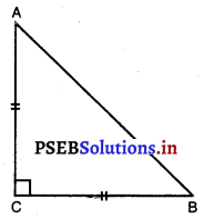 PSEB 10th Class Maths Solutions Chapter 6 ਤ੍ਰਿਭੁਜ Ex 6.5 7