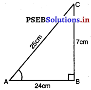 PSEB 10th Class Maths Solutions Chapter 8 ਤਿਕੋਣਮਿਤੀ ਬਾਰੇ ਜਾਣ ਪਛਾਣ Ex 8.1 1