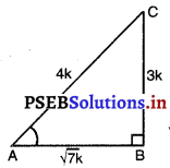 PSEB 10th Class Maths Solutions Chapter 8 ਤਿਕੋਣਮਿਤੀ ਬਾਰੇ ਜਾਣ ਪਛਾਣ Ex 8.1 5