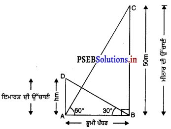 PSEB 10th Class Maths Solutions Chapter 9 ਤਿਕੋਣਮਿਤੀਦੇ ਕੁਝ ਉਪਯੋਗ Ex 9.1 13