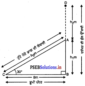 PSEB 10th Class Maths Solutions Chapter 9 ਤਿਕੋਣਮਿਤੀਦੇ ਕੁਝ ਉਪਯੋਗ Ex 9.1 3