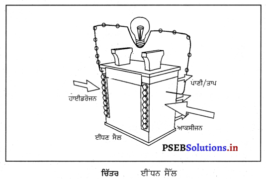 PSEB 11th Class Environmental Education Important Questions Chapter 14 ਊਰਜਾ ਦਾ ਸੁਰੱਖਿਅਣ 2