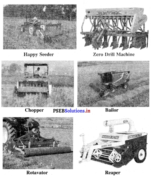 PSEB 12th Class Environmental Education Important Questions Chapter 7 ਸਟੱਬਲ ਬਰਨਿੰਗ ਦੀਆਂ ਸਮੱਸਿਆਵਾਂ 1