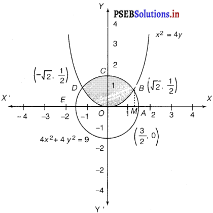 PSEB 12th Class Maths Solutions Chapter 8 Application of Integrals Ex 8.2 1