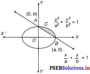 PSEB 12th Class Maths Solutions Chapter 8 Application of Integrals Miscellaneous Exercise 14