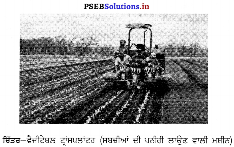 PSEB 6th Class Agriculture Solutions Chapter 6 ਖੇਤੀ ਸੰਦ ਅਤੇ ਮਸ਼ੀਨਾਂ 10