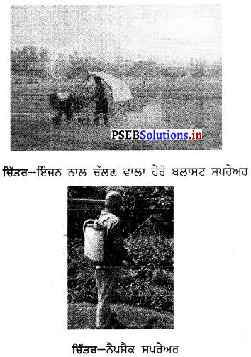 PSEB 6th Class Agriculture Solutions Chapter 6 ਖੇਤੀ ਸੰਦ ਅਤੇ ਮਸ਼ੀਨਾਂ 17