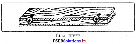 PSEB 6th Class Agriculture Solutions Chapter 6 ਖੇਤੀ ਸੰਦ ਅਤੇ ਮਸ਼ੀਨਾਂ 22