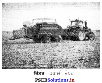 PSEB 6th Class Agriculture Solutions Chapter 6 ਖੇਤੀ ਸੰਦ ਅਤੇ ਮਸ਼ੀਨਾਂ 8