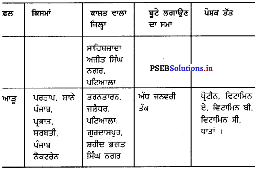 PSEB 6th Class Agriculture Solutions Chapter 9 ਪੰਜਾਬ ਦੇ ਮੁੱਖ ਫੁੱਲ ਅਤੇ ਬੂਟੇ 4