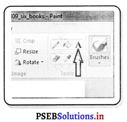 PSEB 6th Class Computer Solutions Chapter 5 ਤੇ ਐੱਮ. ਐੱਸ. ਪੈਂਟ (ਭਾਗ-2 ...