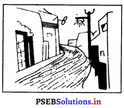 PSEB 6th Class Social Science Solutions Chapter 20 ਪੇਂਡੂ ਵਿਕਾਸ ਅਤੇ ਸਥਾਨਕ ਸਰਕਾਰ 1