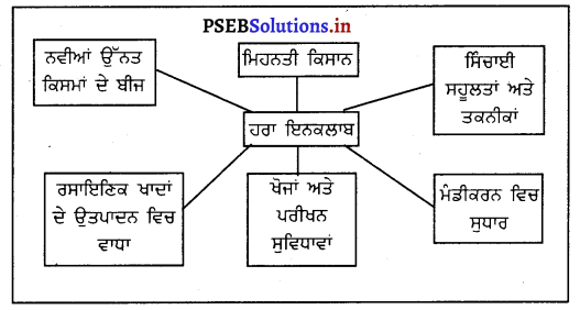 PSEB 7th Class Agriculture Solutions Chapter 1 ਹਰਾ ਇਨਕਲਾਬ 1