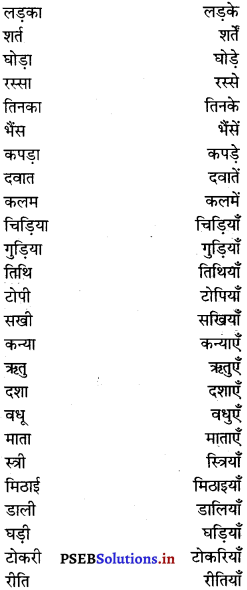 PSEB 7th Class Hindi Grammar व्यावहारिक व्याकरण (2nd Language) 10