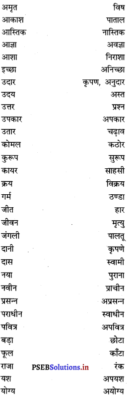 PSEB 7th Class Hindi Grammar व्यावहारिक व्याकरण (2nd Language) 22