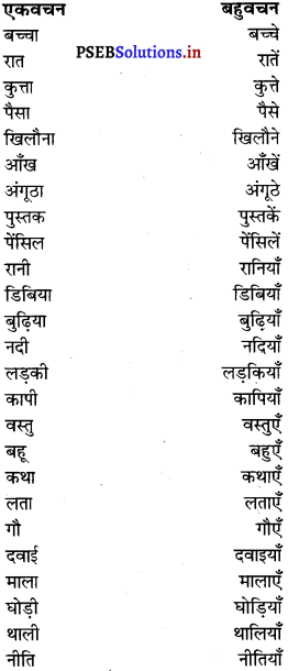 PSEB 7th Class Hindi Grammar व्यावहारिक व्याकरण (2nd Language) 9