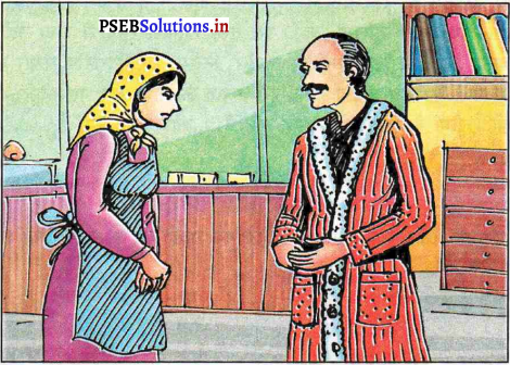 PSEB 7th Class Hindi Solutions Chapter 17 अन्याय के विरोध में 5