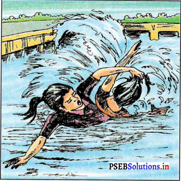 PSEB 7th Class Hindi Solutions Chapter 20 मैं जीती 5