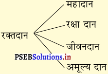 PSEB 7th Class Hindi Solutions Chapter 3 रक्तदान-एक बहुमूल्य संस्कार 5