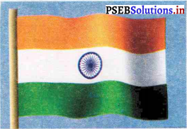 PSEB 7th Class Hindi Solutions Chapter 6 राष्ट्र के गौरव प्रतीक 5