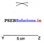 PSEB 7th Class Maths Solutions Chapter 10 ਪ੍ਰਯੋਗਿਕ ਰੇਖਾ ਗਣਿਤ Ex 10.2 14