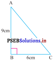 PSEB 7th Class Maths Solutions Chapter 11 ਪਰਿਮਾਪ ਅਤੇ ਖੇਤਰਫਲ Ex 11.2 11