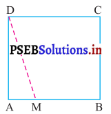 PSEB 7th Class Maths Solutions Chapter 11 ਪਰਿਮਾਪ ਅਤੇ ਖੇਤਰਫਲ Ex 11.2 14
