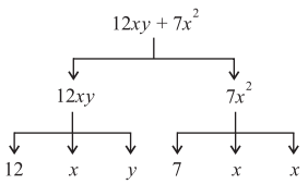PSEB 7th Class Maths Solutions Chapter 12 ਬੀਜਗਣਿਤਕ ਵਿਅੰਜਕ Ex 12.1 2