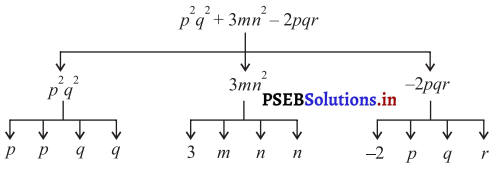 PSEB 7th Class Maths Solutions Chapter 12 ਬੀਜਗਣਿਤਕ ਵਿਅੰਜਕ Ex 12.1 3