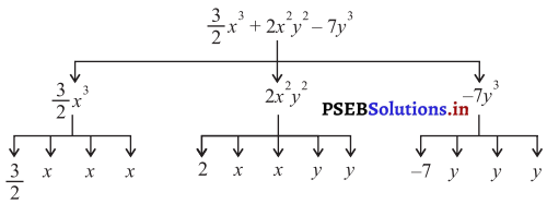 PSEB 7th Class Maths Solutions Chapter 12 ਬੀਜਗਣਿਤਕ ਵਿਅੰਜਕ Ex 12.1 5
