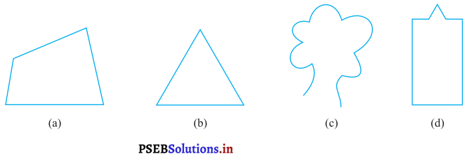 PSEB 7th Class Maths Solutions Chapter 14 ਸਮਮਿਤੀ Ex 14.1 1