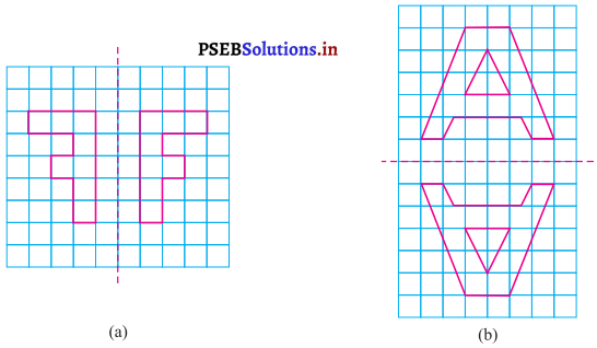 PSEB 7th Class Maths Solutions Chapter 14 ਸਮਮਿਤੀ Ex 14.1 13
