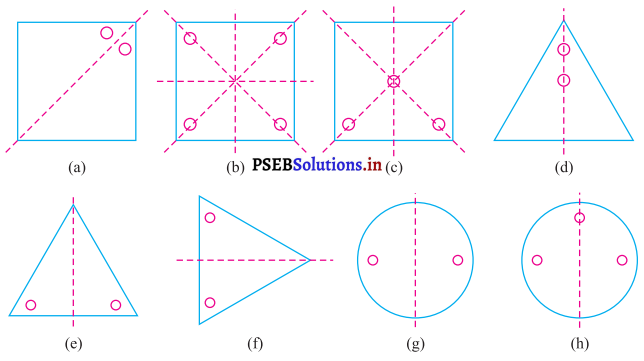 PSEB 7th Class Maths Solutions Chapter 14 ਸਮਮਿਤੀ Ex 14.1 7