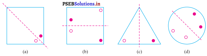 PSEB 7th Class Maths Solutions Chapter 14 ਸਮਮਿਤੀ Ex 14.1 9