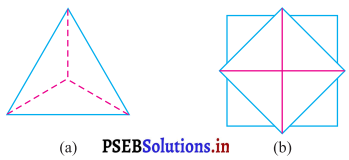 PSEB 7th Class Maths Solutions Chapter 14 ਸਮਮਿਤੀ Ex 14.3 1