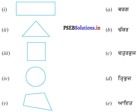 PSEB 7th Class Maths Solutions Chapter 15 ਠੋਸ ਆਕਾਰ ਦੀ ਕਲਪਨਾ Ex 15.1 1