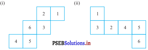 PSEB 7th Class Maths Solutions Chapter 15 ਠੋਸ ਆਕਾਰ ਦੀ ਕਲਪਨਾ Ex 15.1 11