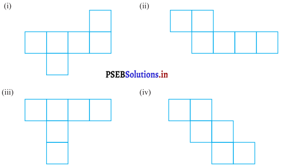 PSEB 7th Class Maths Solutions Chapter 15 ਠੋਸ ਆਕਾਰ ਦੀ ਕਲਪਨਾ Ex 15.1 3