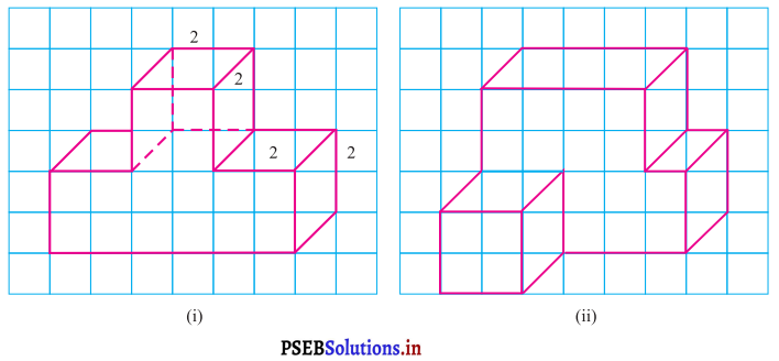 PSEB 7th Class Maths Solutions Chapter 15 ਠੋਸ ਆਕਾਰ ਦੀ ਕਲਪਨਾ Ex 15.2 1
