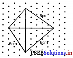 PSEB 7th Class Maths Solutions Chapter 15 ਠੋਸ ਆਕਾਰ ਦੀ ਕਲਪਨਾ Ex 15.2 11