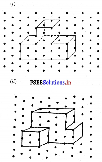 PSEB 7th Class Maths Solutions Chapter 15 ਠੋਸ ਆਕਾਰ ਦੀ ਕਲਪਨਾ Ex 15.2 3